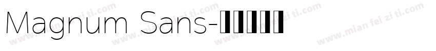 Magnum Sans字体转换